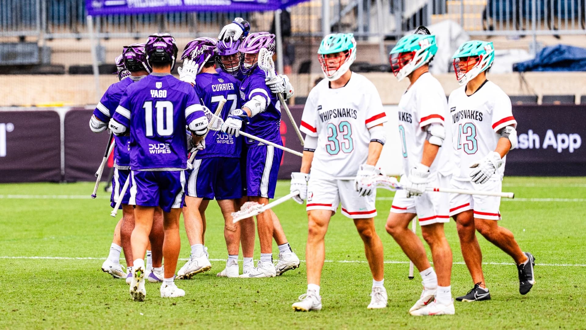 Article preview: Whipsnakes lose fourth straight after comeback falls short vs. Waterdogs